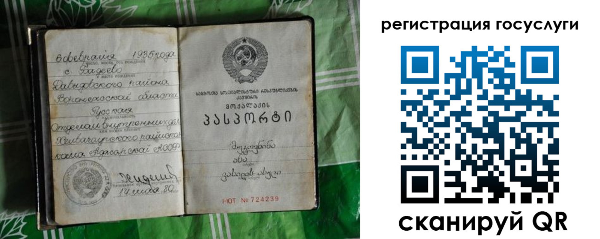 прописка в квартире в Борзе